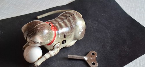 Köhler katze rollende - rollende,
